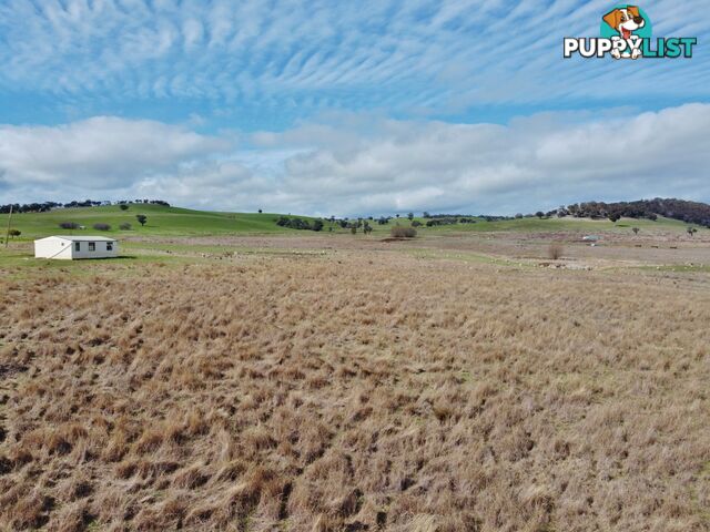 127 Calabash Road, Murringo, via YOUNG NSW 2594