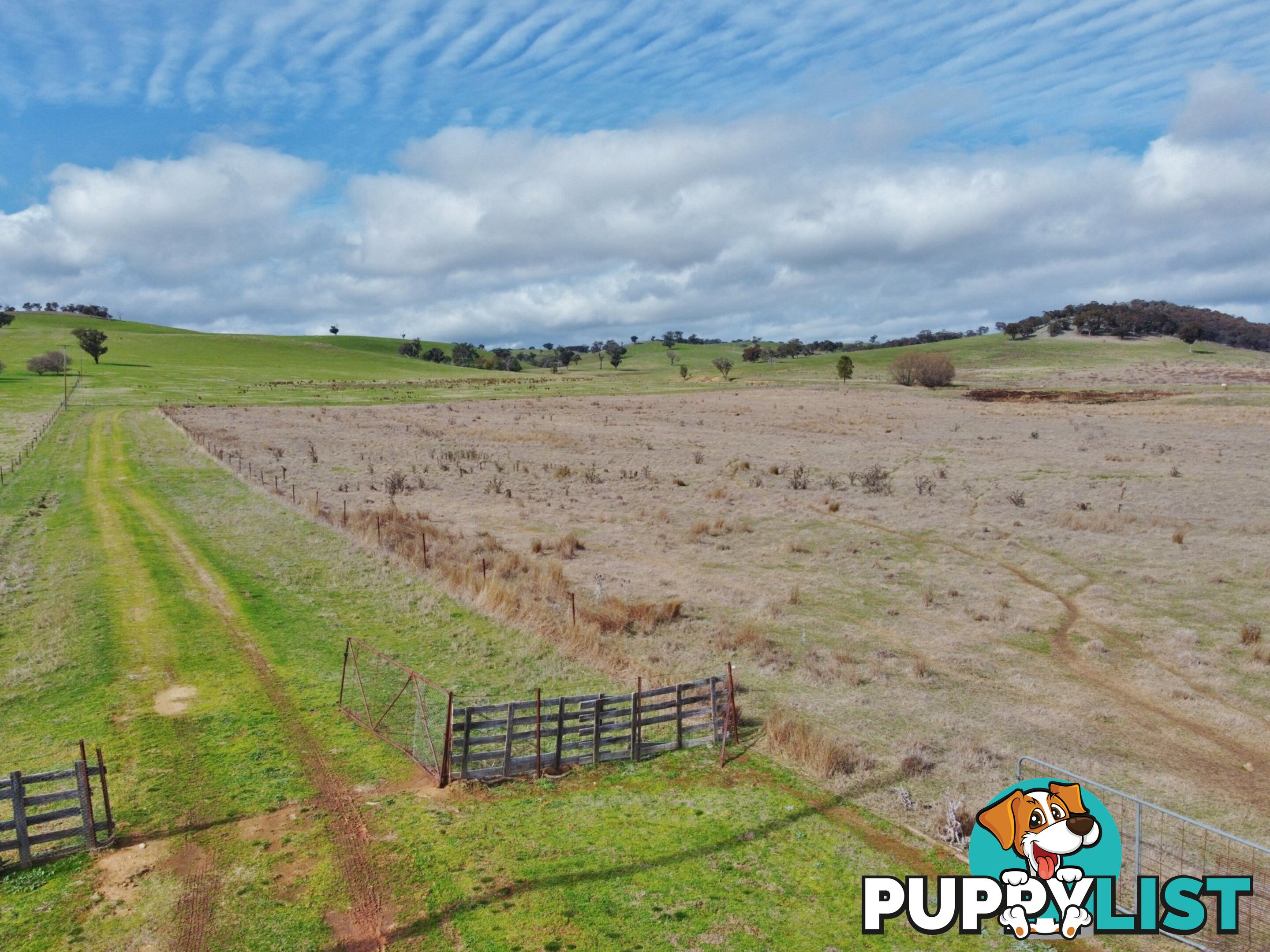 127 Calabash Road, Murringo, via YOUNG NSW 2594