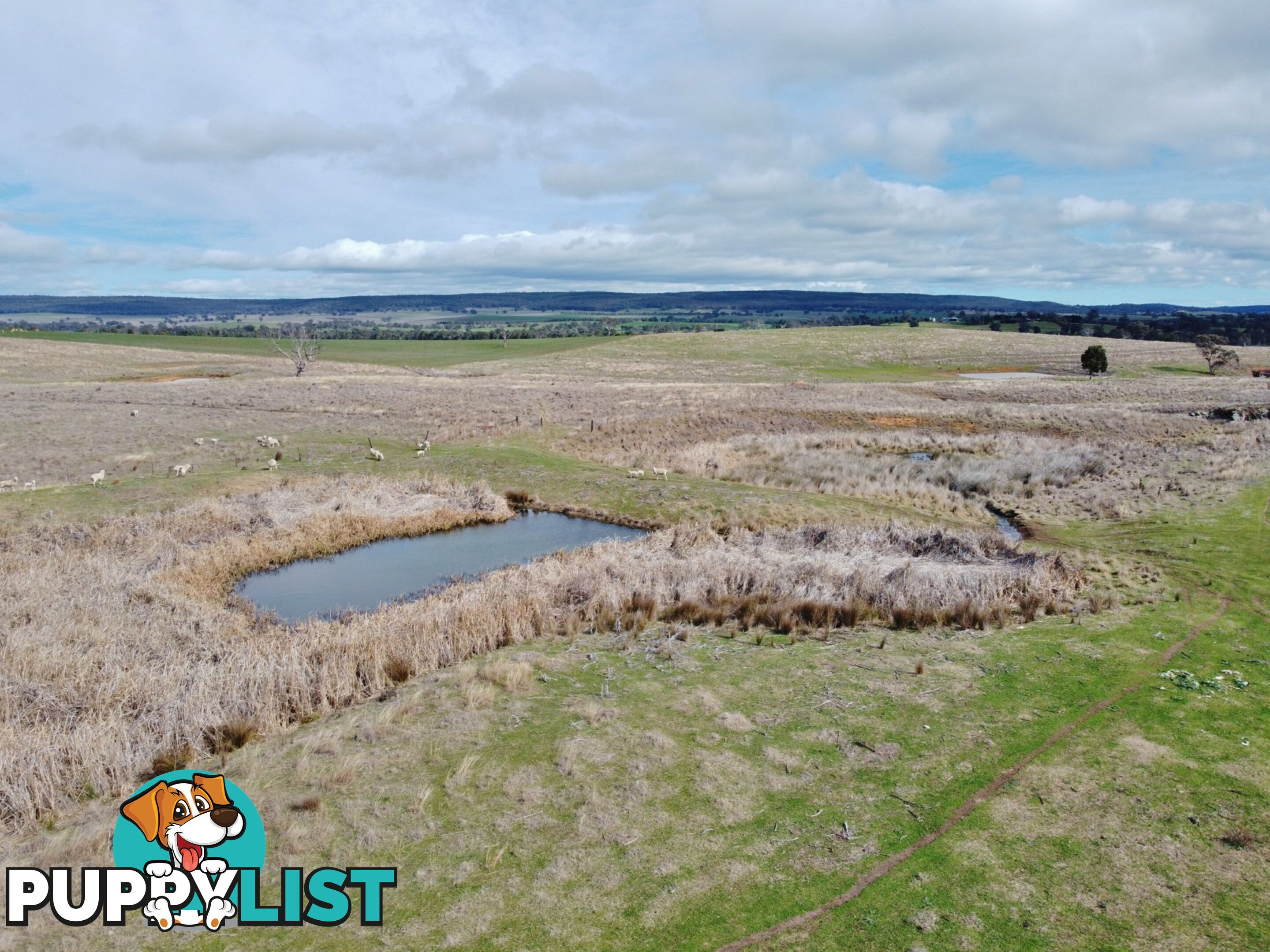 127 Calabash Road, Murringo, via YOUNG NSW 2594