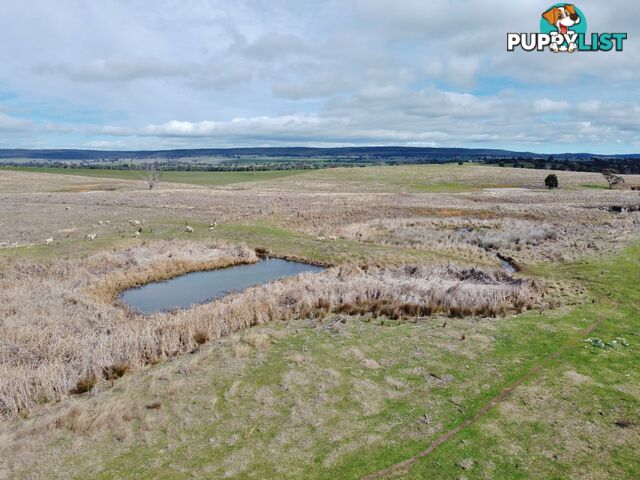 127 Calabash Road, Murringo, via YOUNG NSW 2594