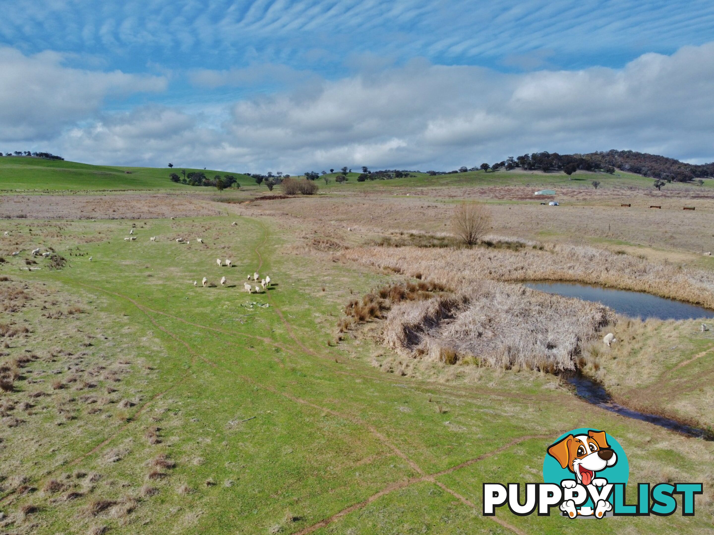 127 Calabash Road, Murringo, via YOUNG NSW 2594