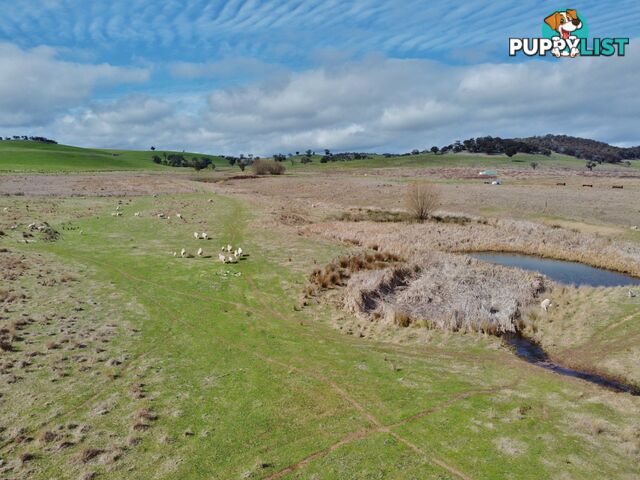 127 Calabash Road, Murringo, via YOUNG NSW 2594