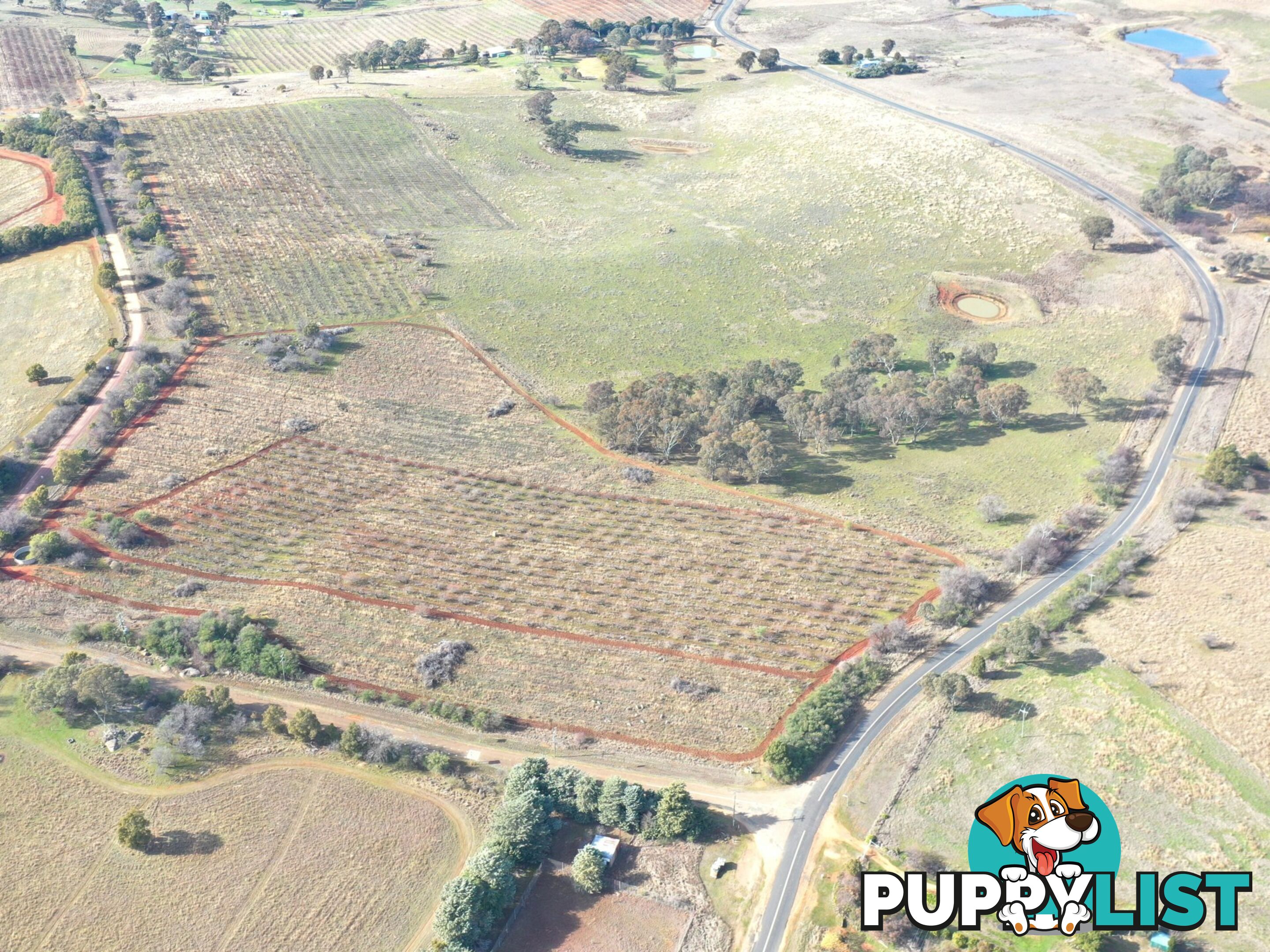 Lot 179,205 & 206/463 Maimuru SS Road MAIMURU NSW 2594
