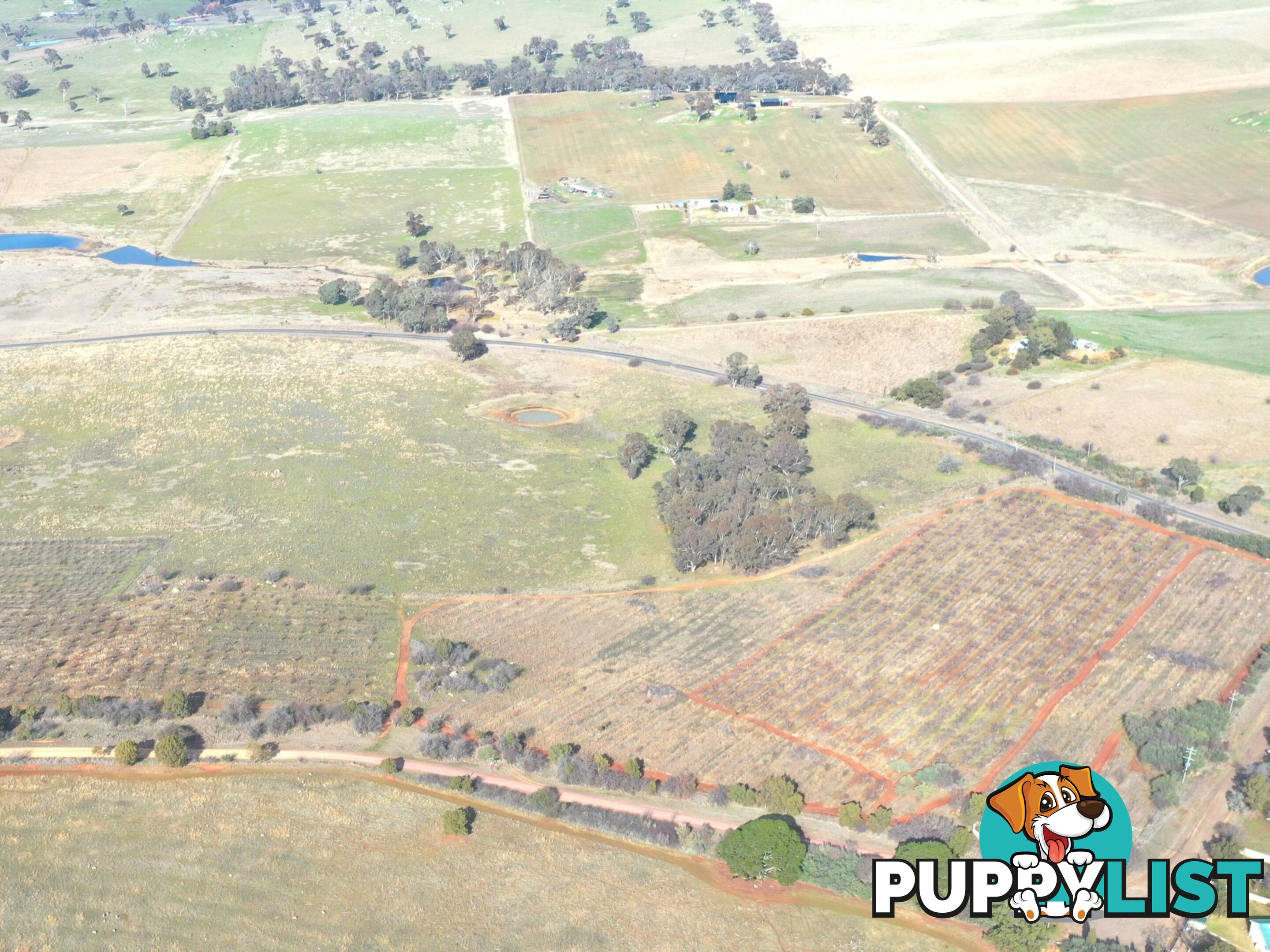 Lot 179,205 & 206/463 Maimuru SS Road MAIMURU NSW 2594