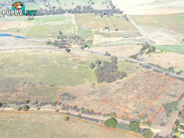 Lot 179,205 & 206/463 Maimuru SS Road MAIMURU NSW 2594