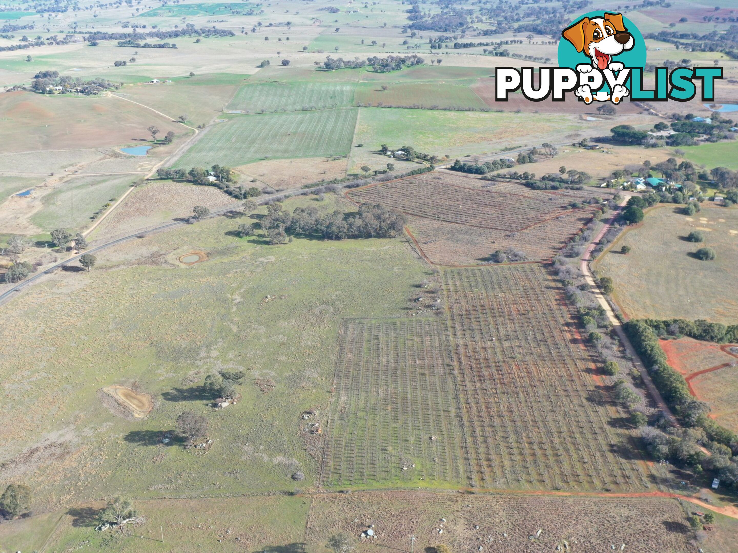 Lot 179,205 & 206/463 Maimuru SS Road MAIMURU NSW 2594