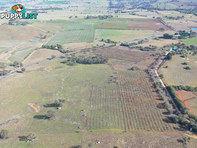 Lot 179,205 & 206/463 Maimuru SS Road MAIMURU NSW 2594