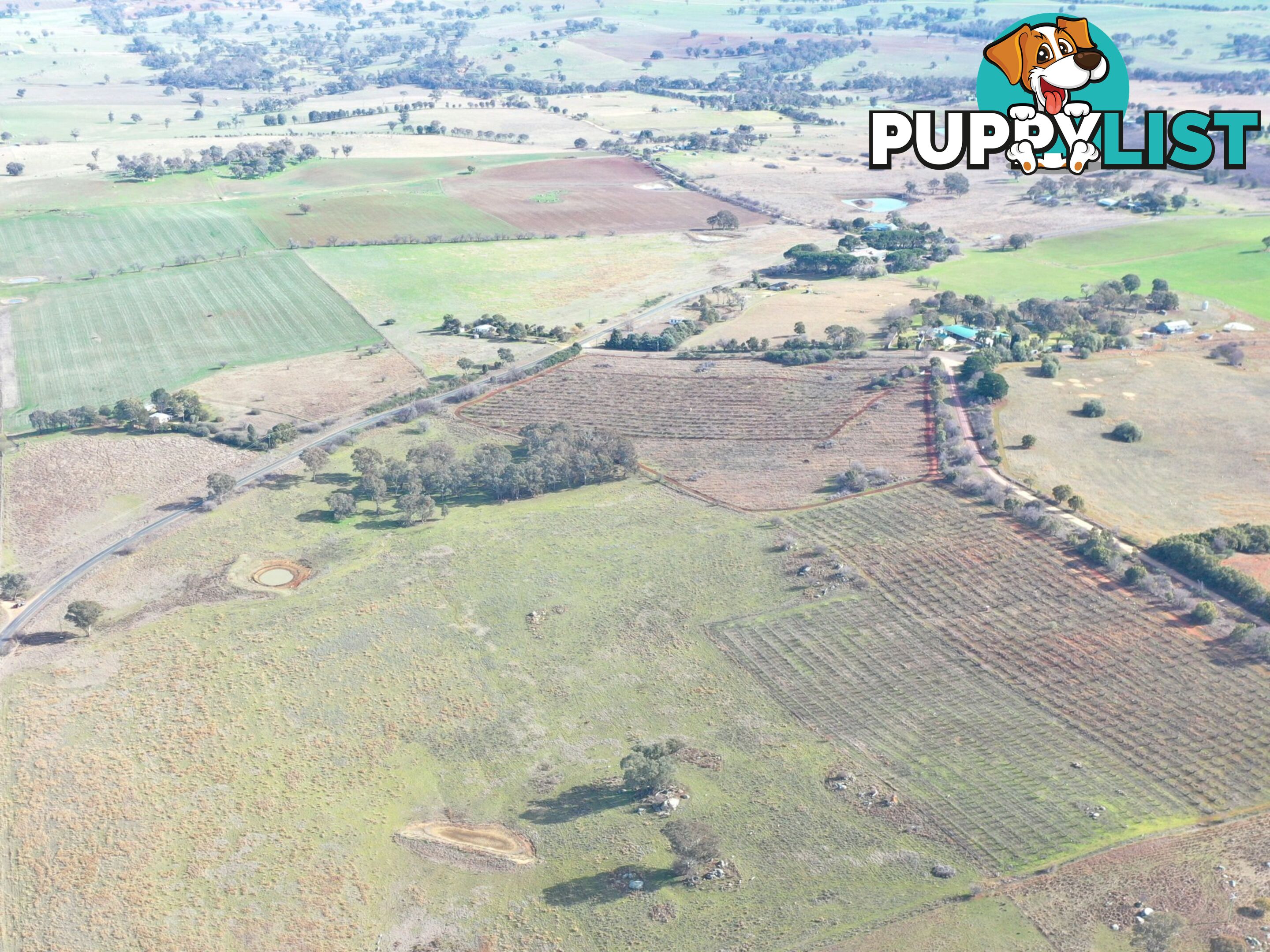 Lot 179,205 & 206/463 Maimuru SS Road MAIMURU NSW 2594