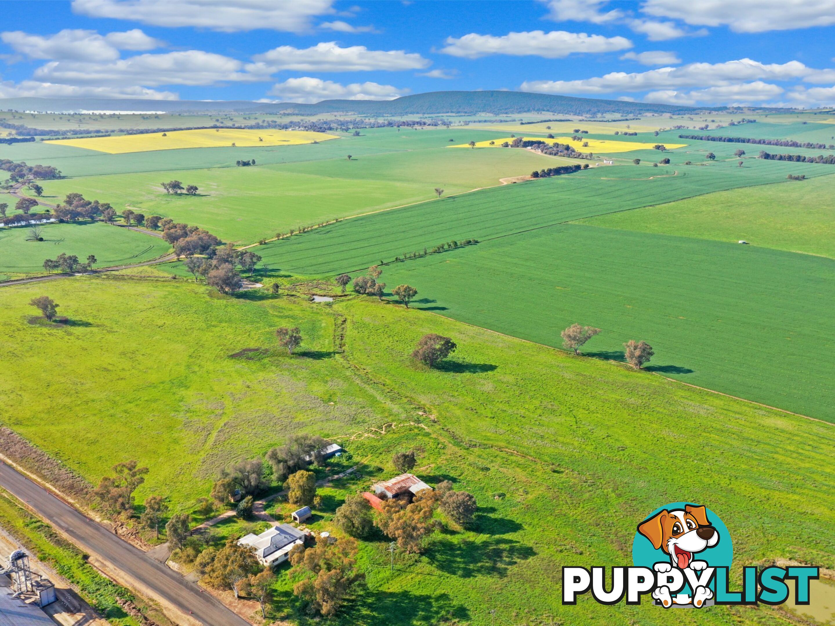 40 Koorawatha Road GREENETHORPE NSW 2809