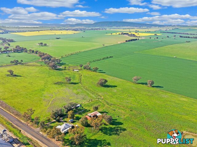 40 Koorawatha Road GREENETHORPE NSW 2809