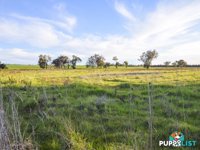 40 Koorawatha Road GREENETHORPE NSW 2809