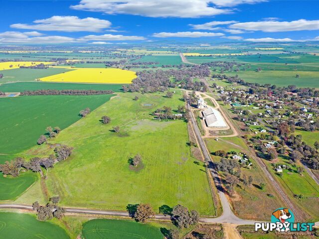 40 Koorawatha Road GREENETHORPE NSW 2809