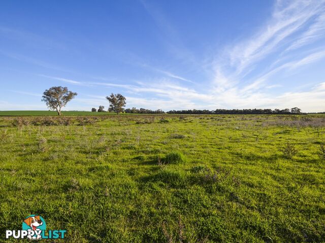 40 Koorawatha Road GREENETHORPE NSW 2809