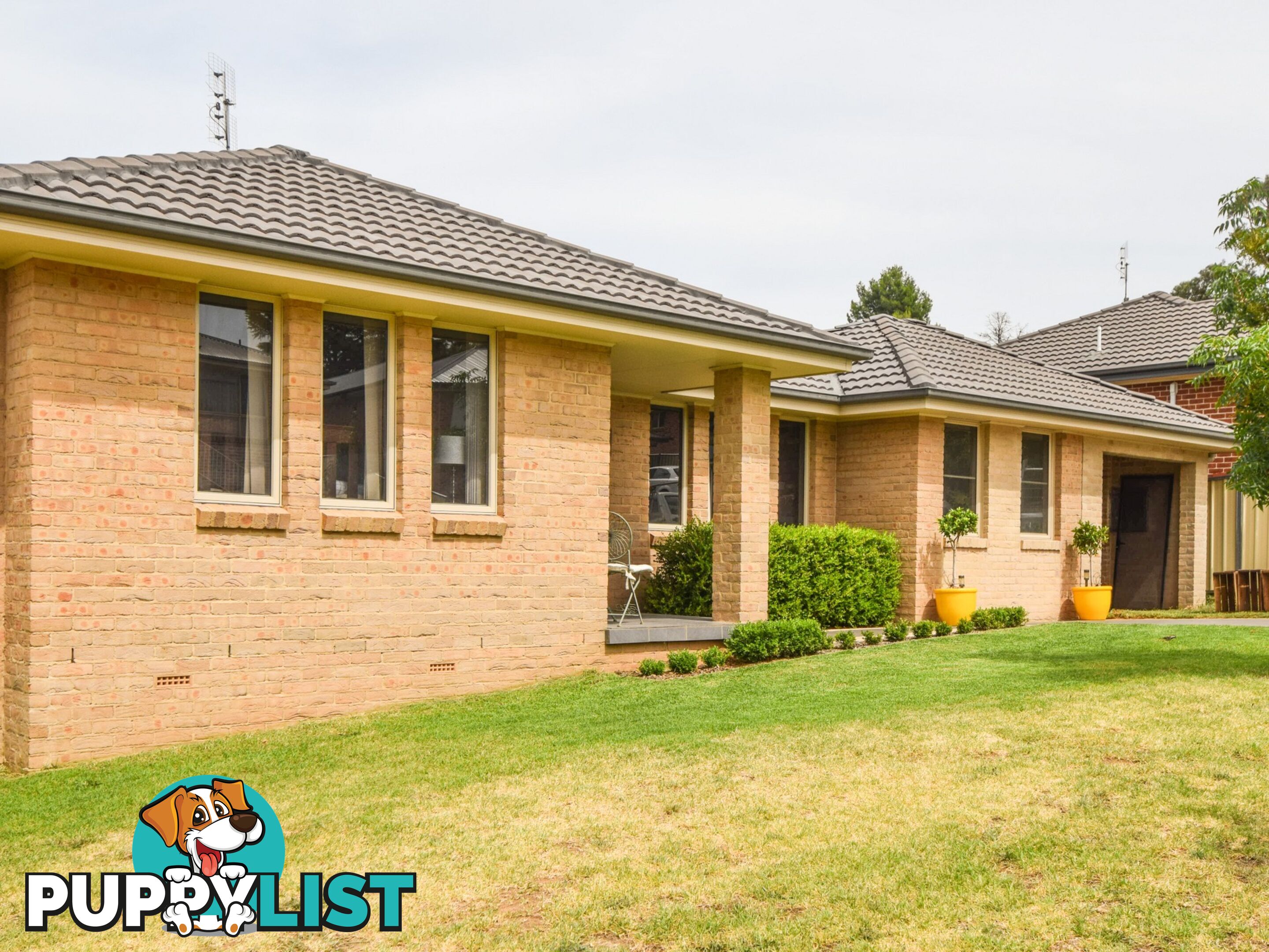 1 Hambrook Place YOUNG NSW 2594