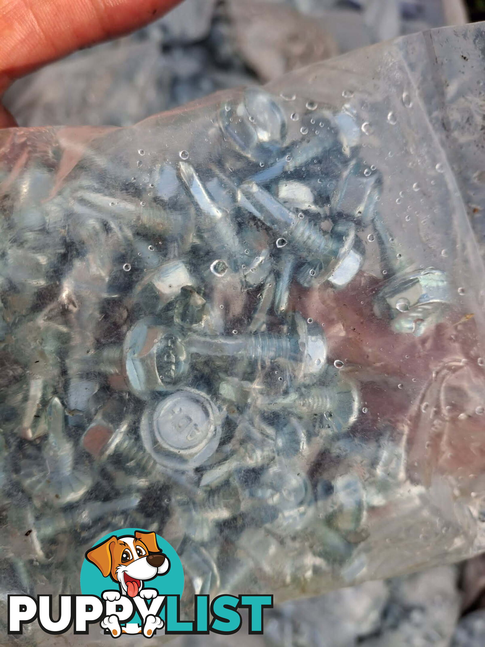 Bulk self tapping screws