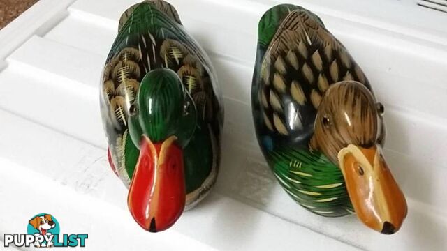 a pair of ducks