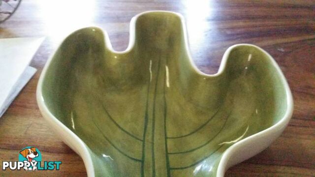 1 large catcus serving platter