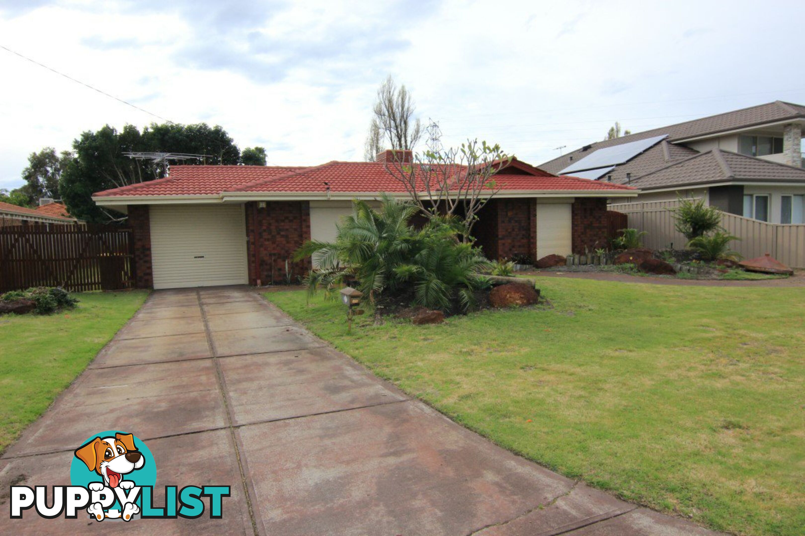 6 Robbins Place SHELLEY WA 6148