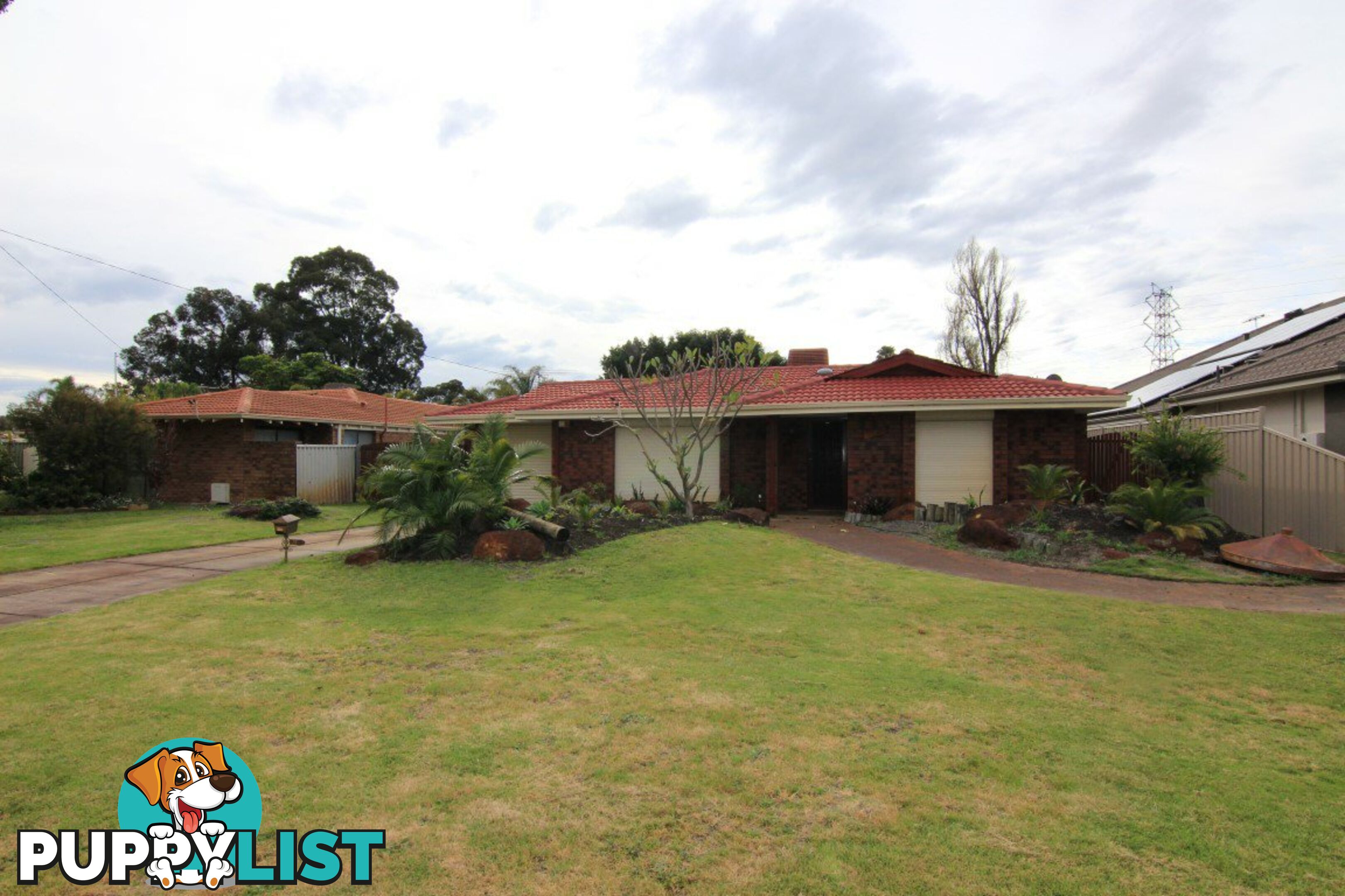 6 Robbins Place SHELLEY WA 6148