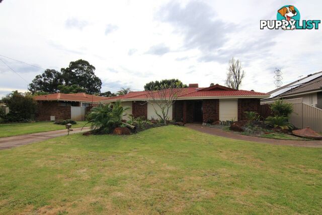 6 Robbins Place SHELLEY WA 6148