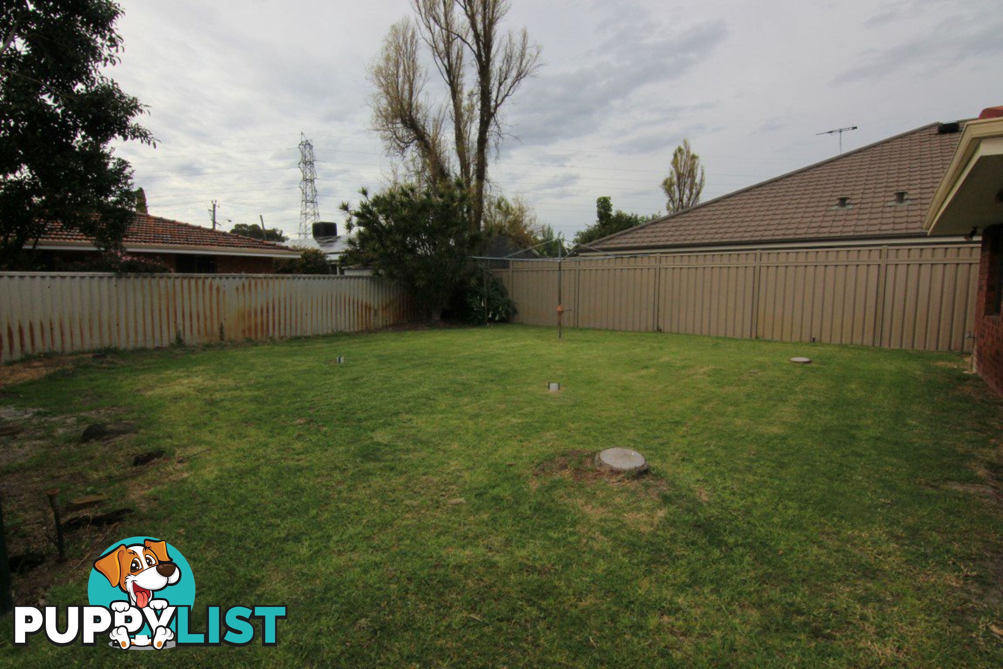 6 Robbins Place SHELLEY WA 6148