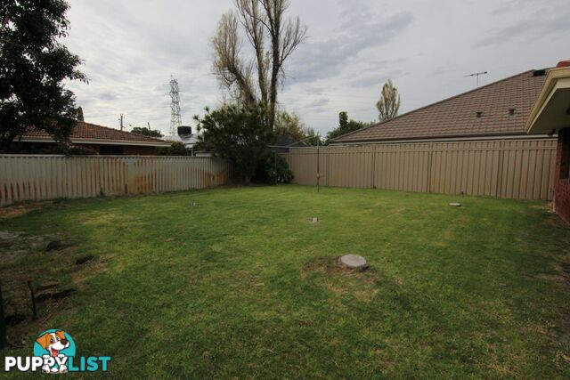 6 Robbins Place SHELLEY WA 6148