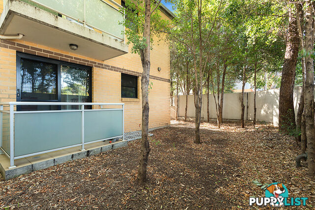 2/35 Penelope Lucas Lane ROSEHILL NSW 2142