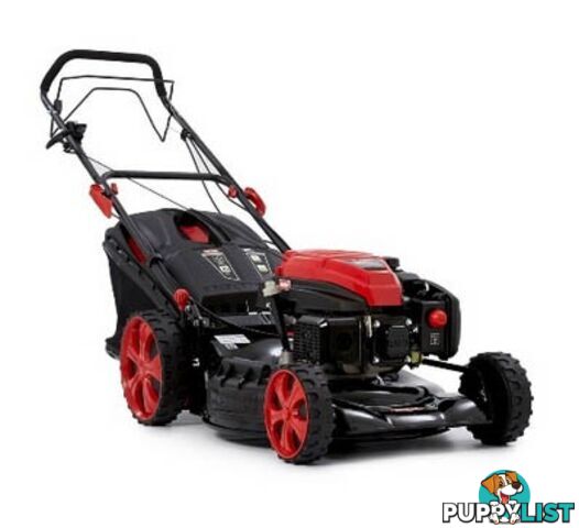 ROVER Endeavour Self Propelled Lawn Mower with 196cc OHV Engine, Grass Catc