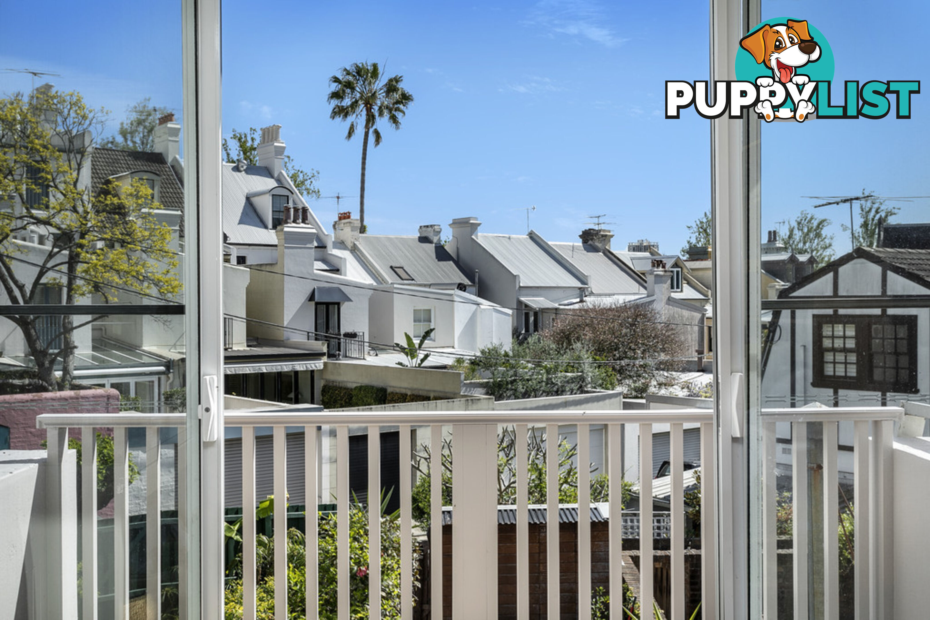 12 Rush Street WOOLLAHRA NSW 2025