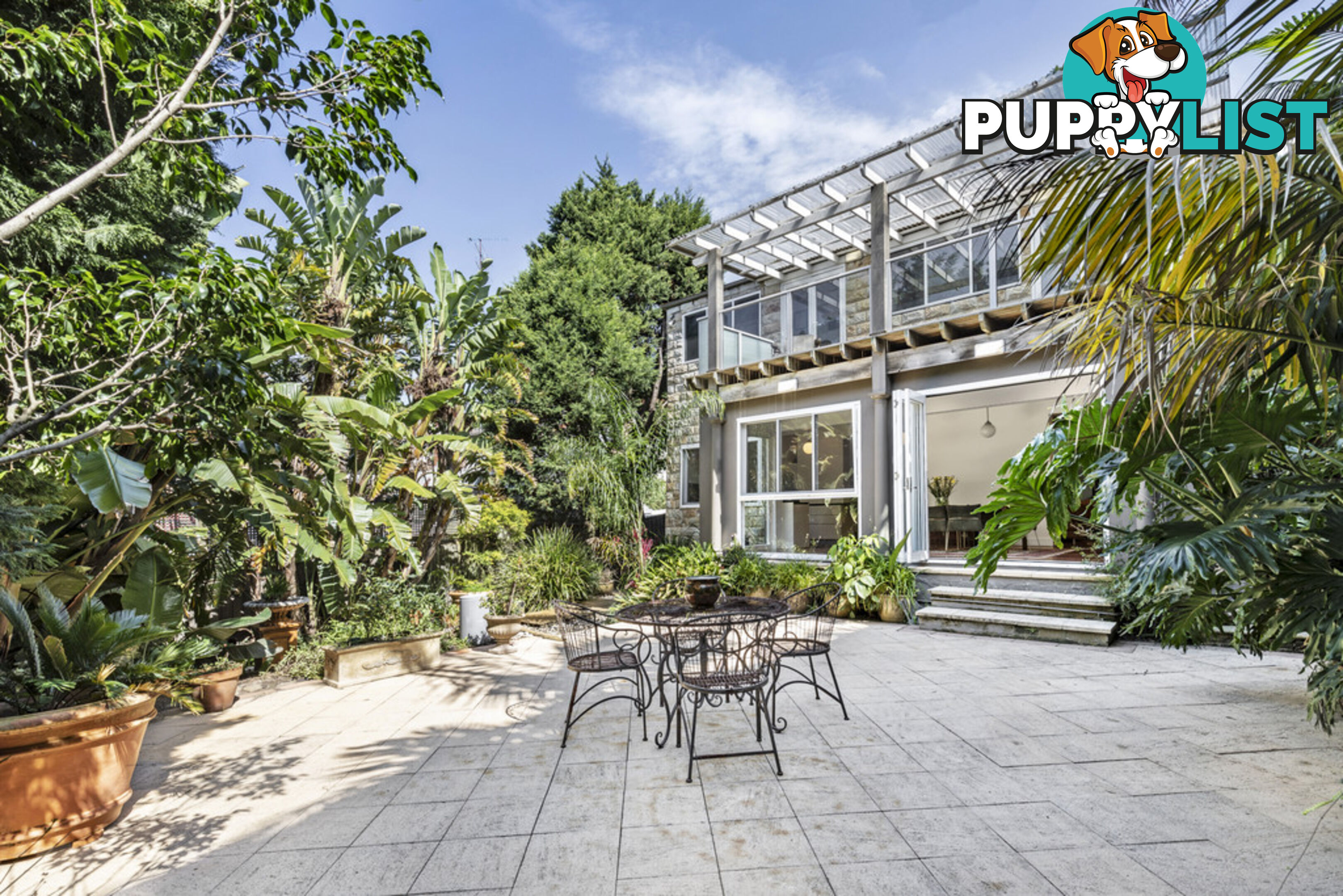 6 Banksia Road BELLEVUE HILL NSW 2023