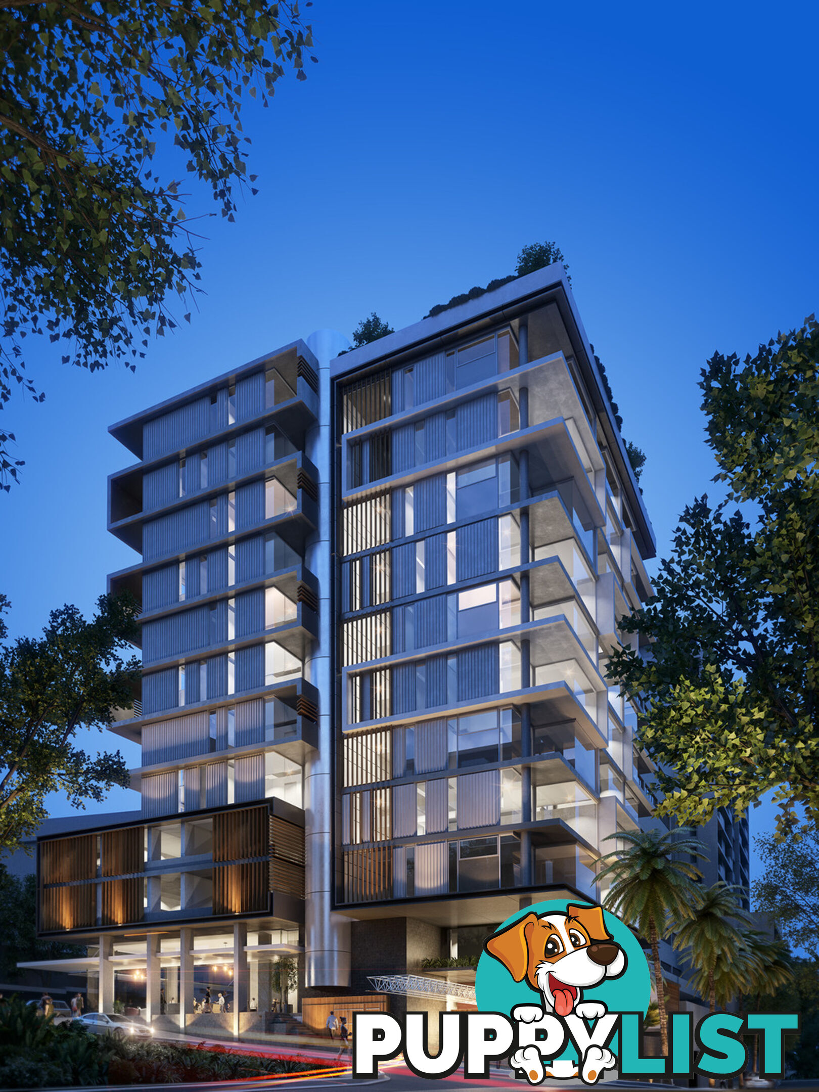 205/334-354 Oxford Street BONDI JUNCTION NSW 2022