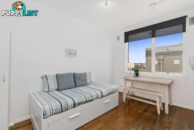 24/6 Underwood Street PADDINGTON NSW 2021