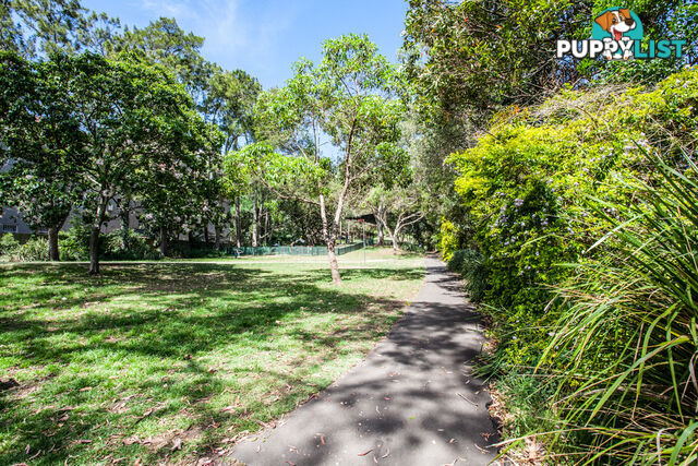 15/400 Glenmore Road PADDINGTON NSW 2021