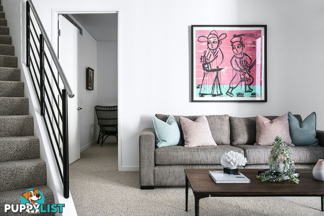 13/299 Forbes Street DARLINGHURST NSW 2010