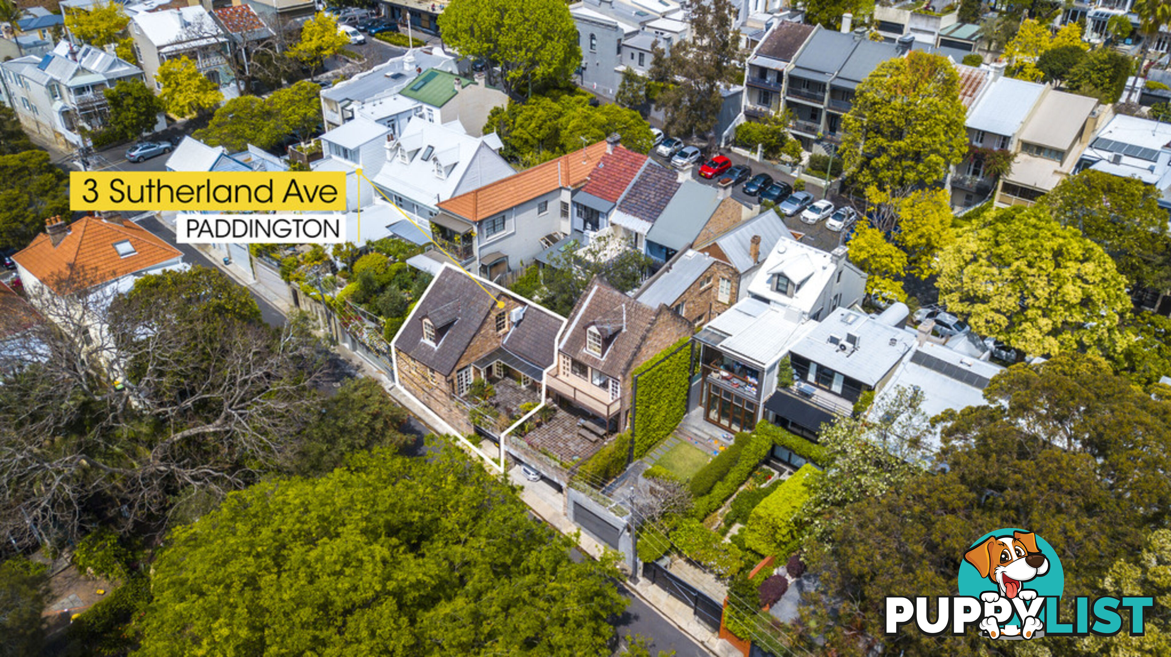 3 Sutherland Avenue PADDINGTON NSW 2021