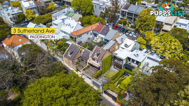 3 Sutherland Avenue PADDINGTON NSW 2021