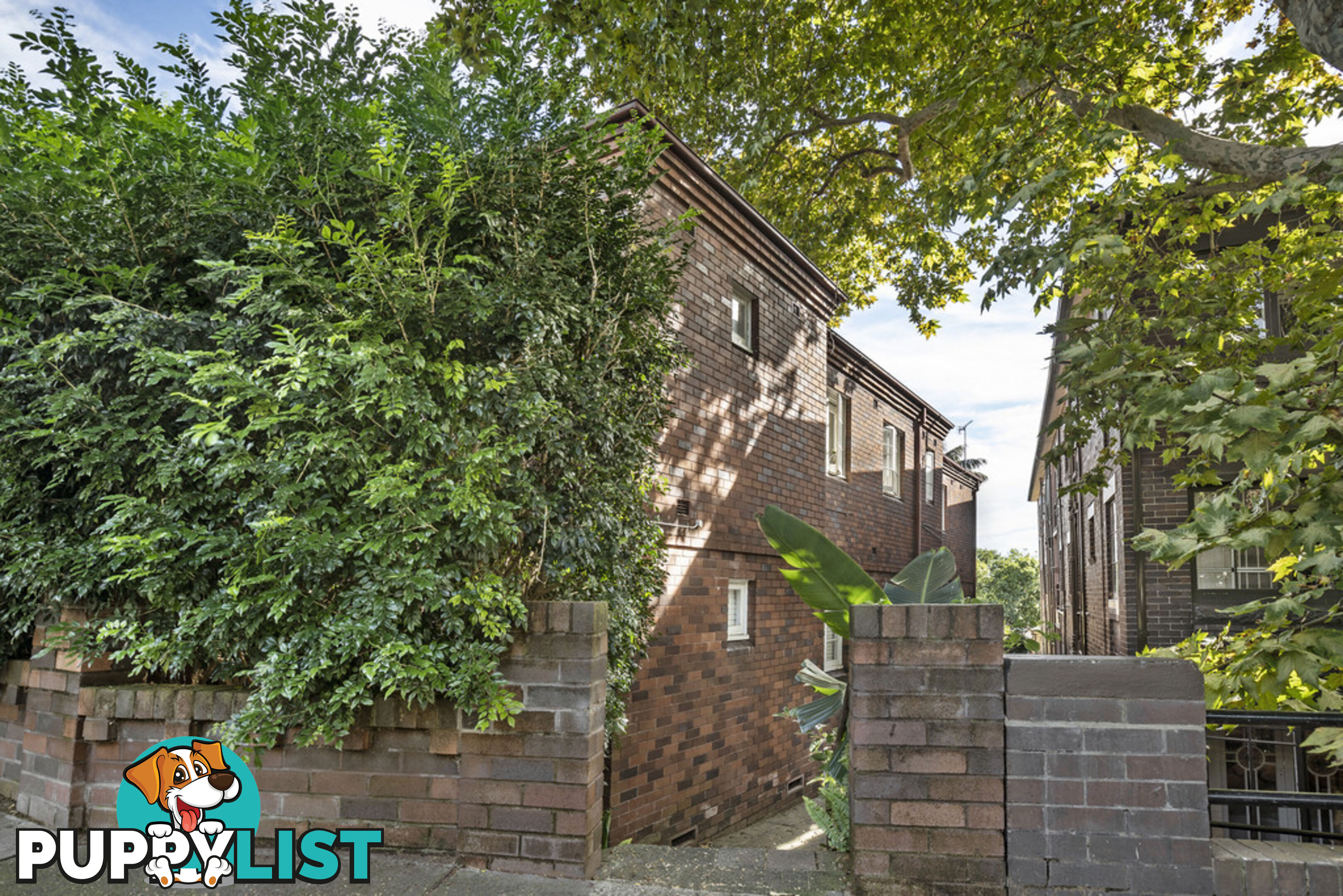 5/186 Glenmore Road PADDINGTON NSW 2021