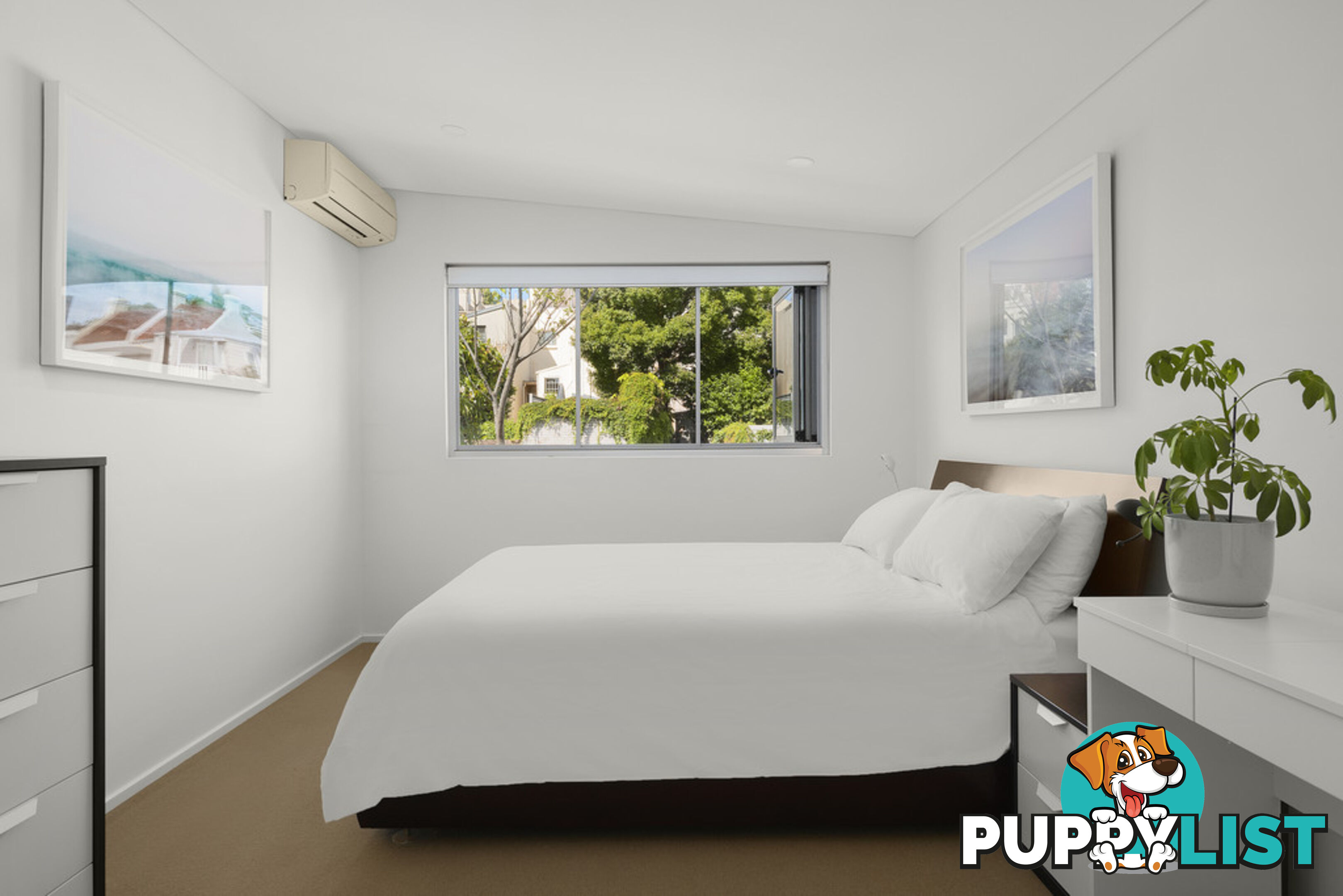 20 Alexander Street PADDINGTON NSW 2021