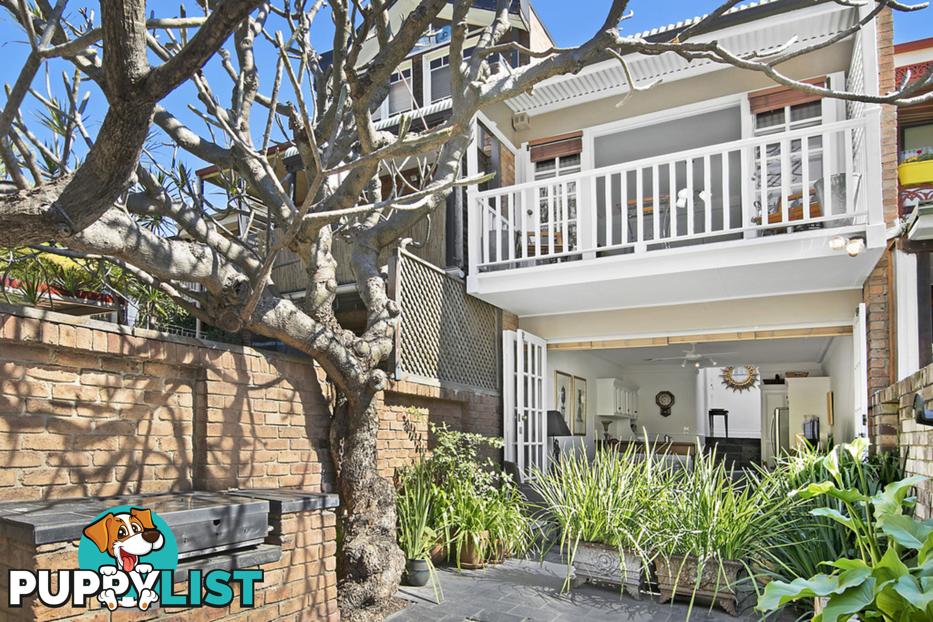 58 Bridge Road GLEBE NSW 2037