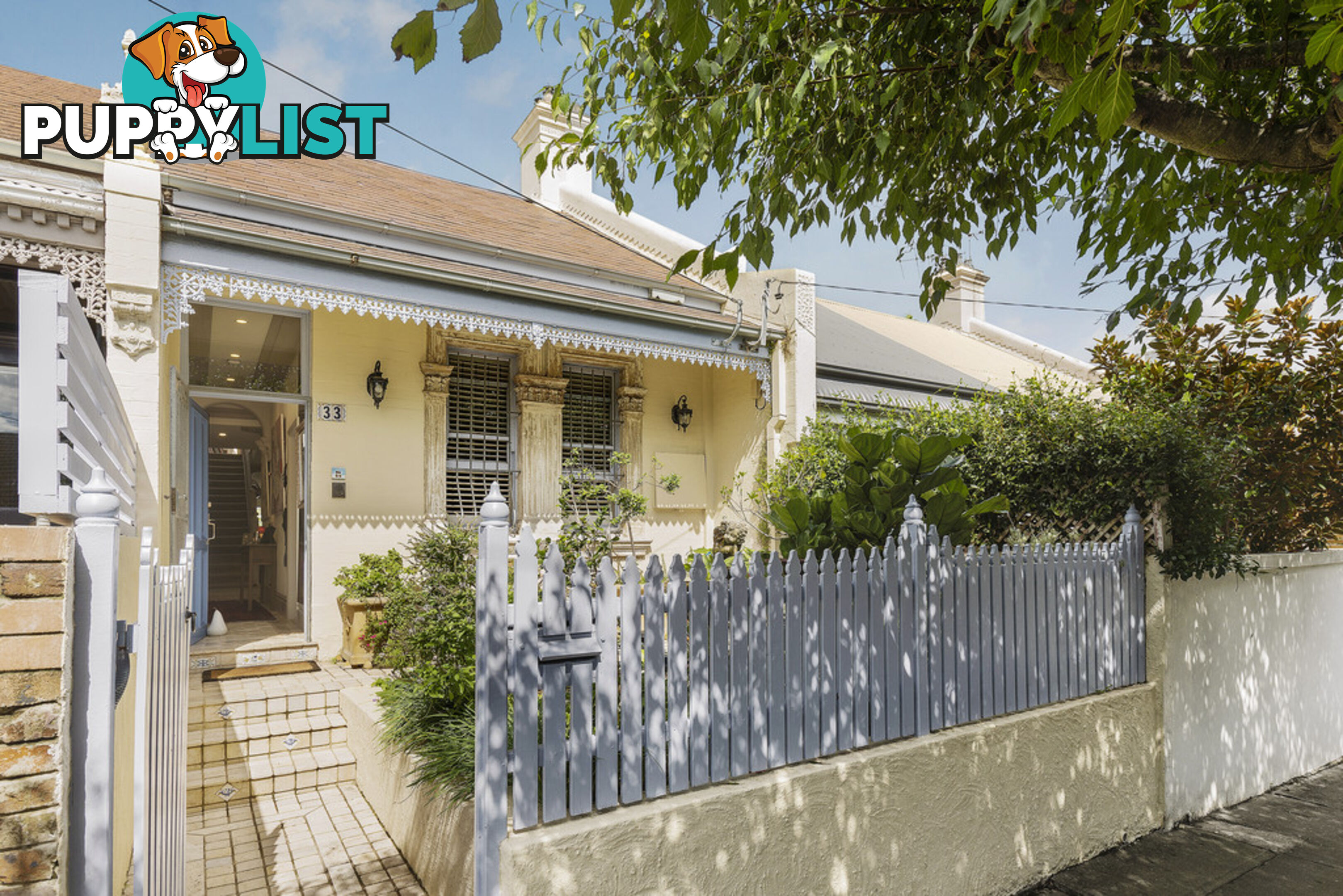 33 View Street WOOLLAHRA NSW 2025