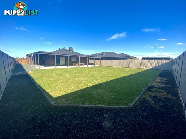 3 Delly Close ECHUCA VIC 3564