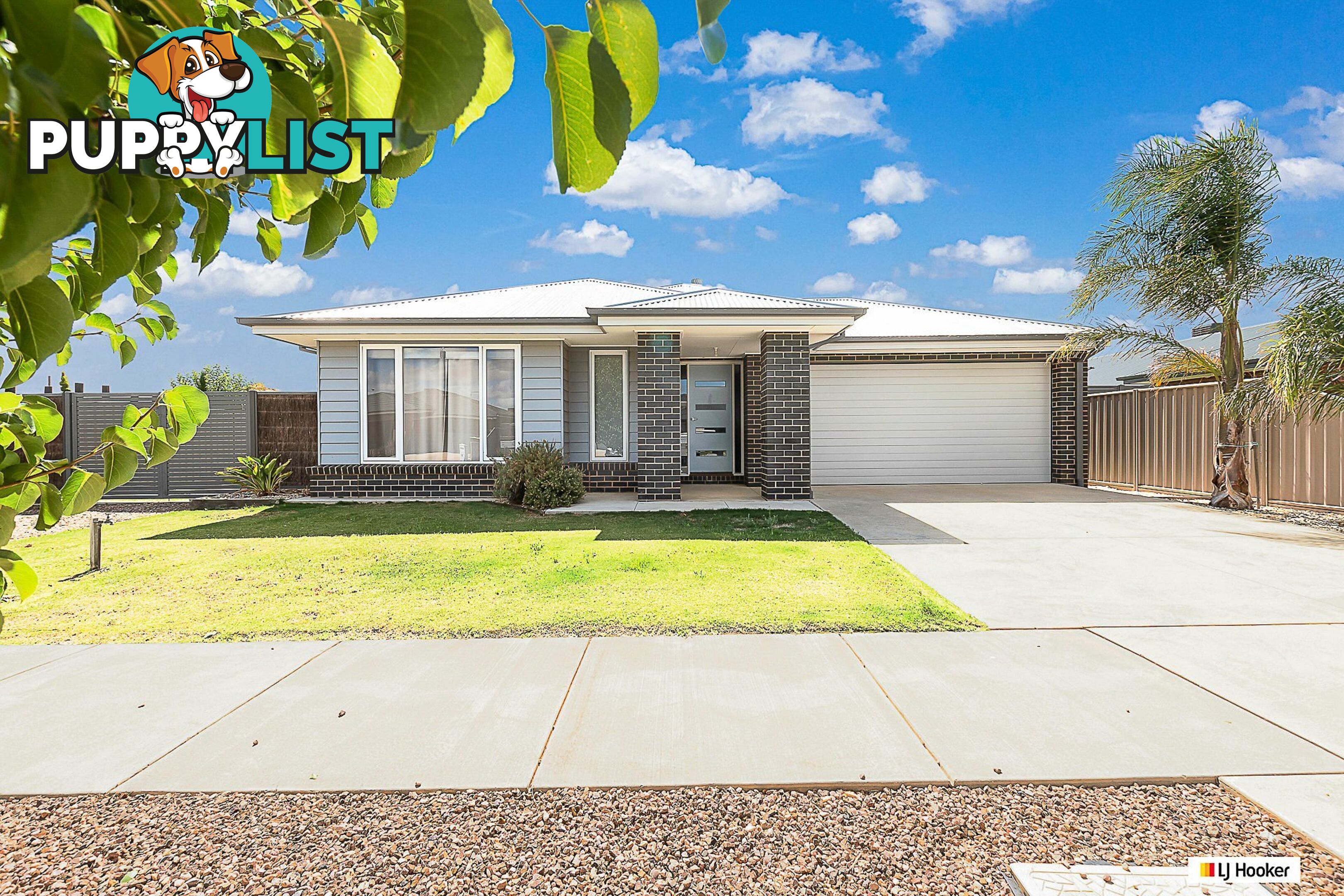 10 Cochrane Street ECHUCA VIC 3564