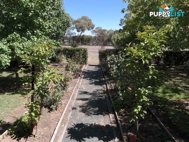 108 Pianta Rd ECHUCA VIC 3564