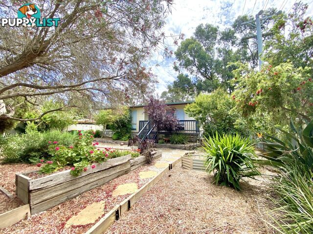 70 Pakenham Street ECHUCA VIC 3564