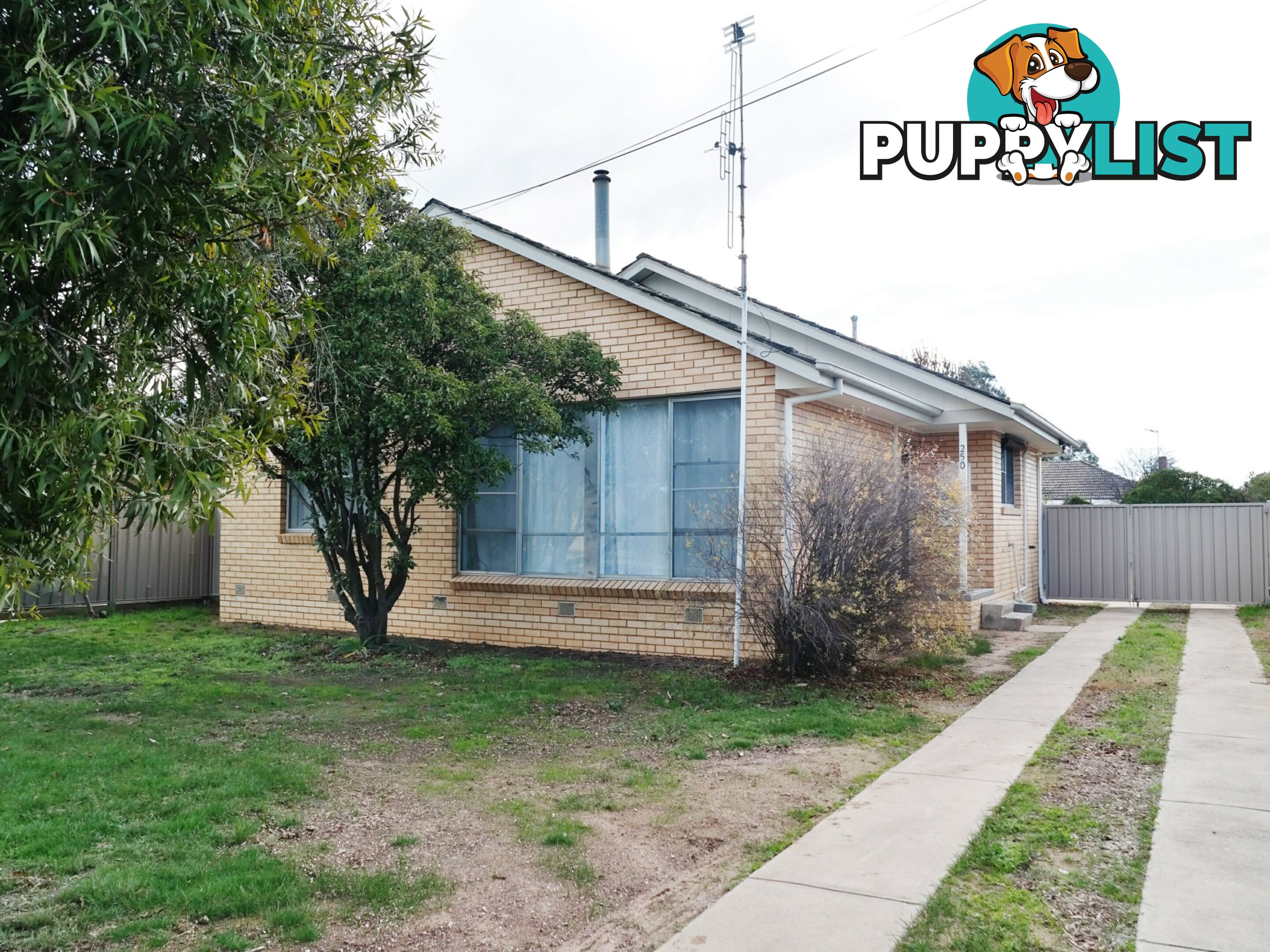 250 Ogilvie Avenue ECHUCA VIC 3564