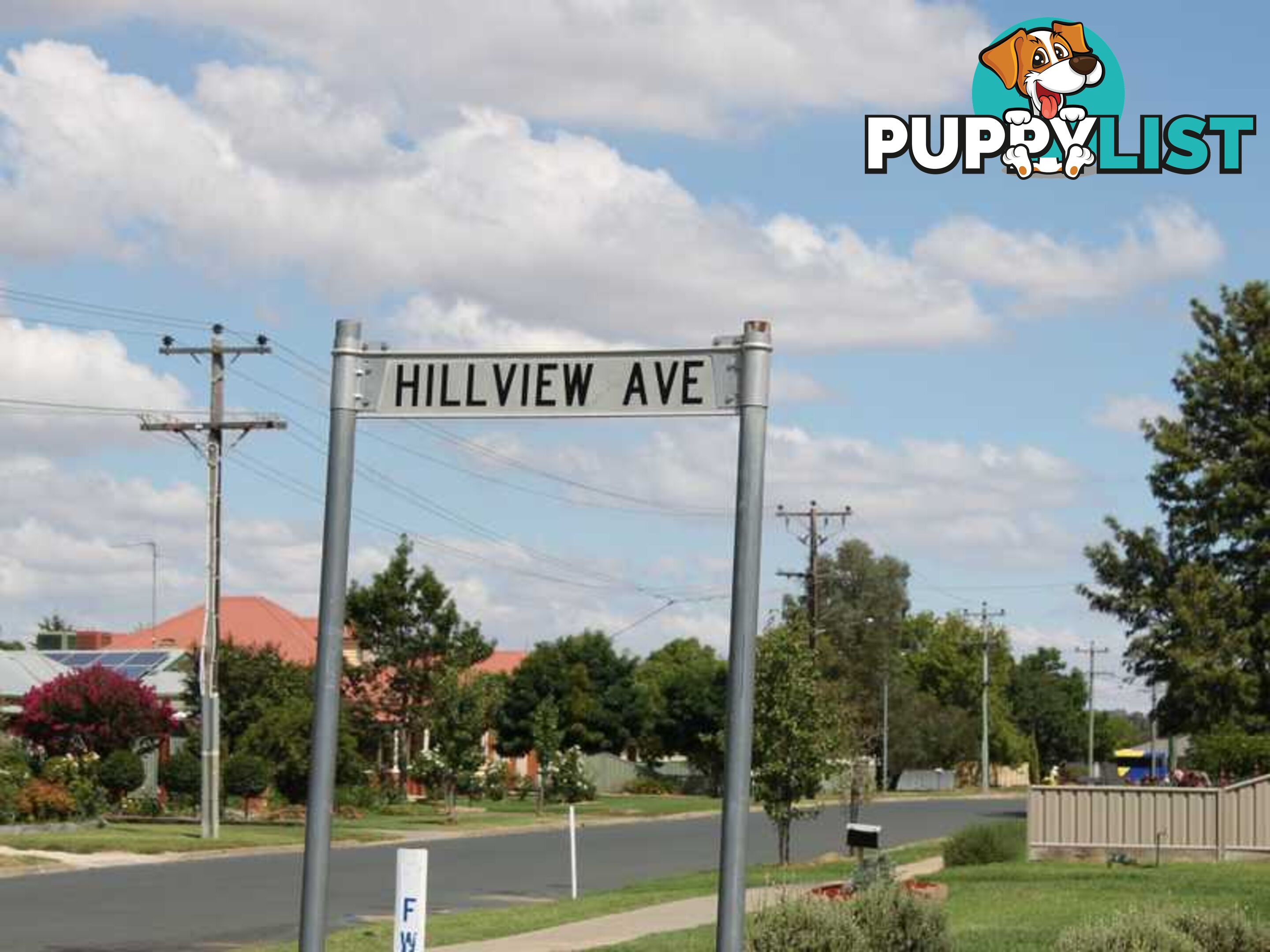 21 Hillview Avenue MOAMA NSW 2731