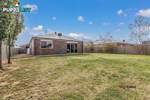 20 Lynch Drive ECHUCA VIC 3564