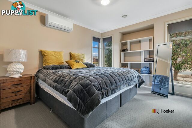 20 Lynch Drive ECHUCA VIC 3564