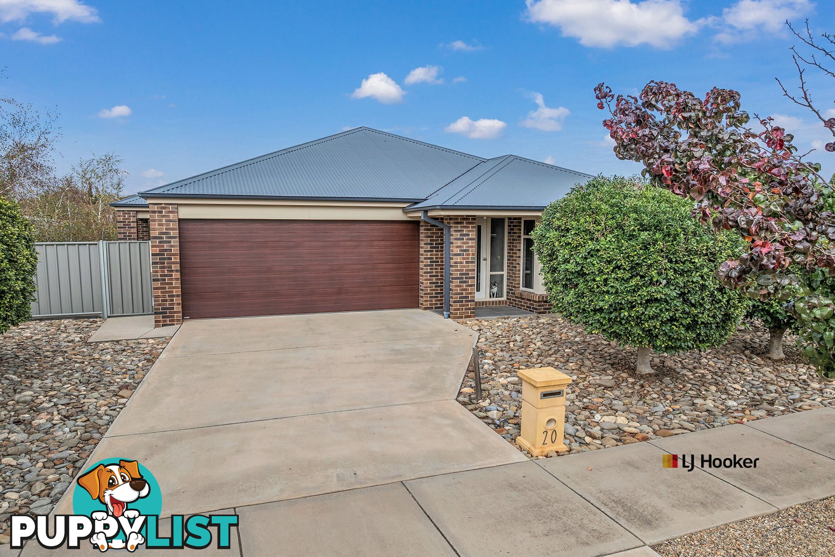 20 Lynch Drive ECHUCA VIC 3564