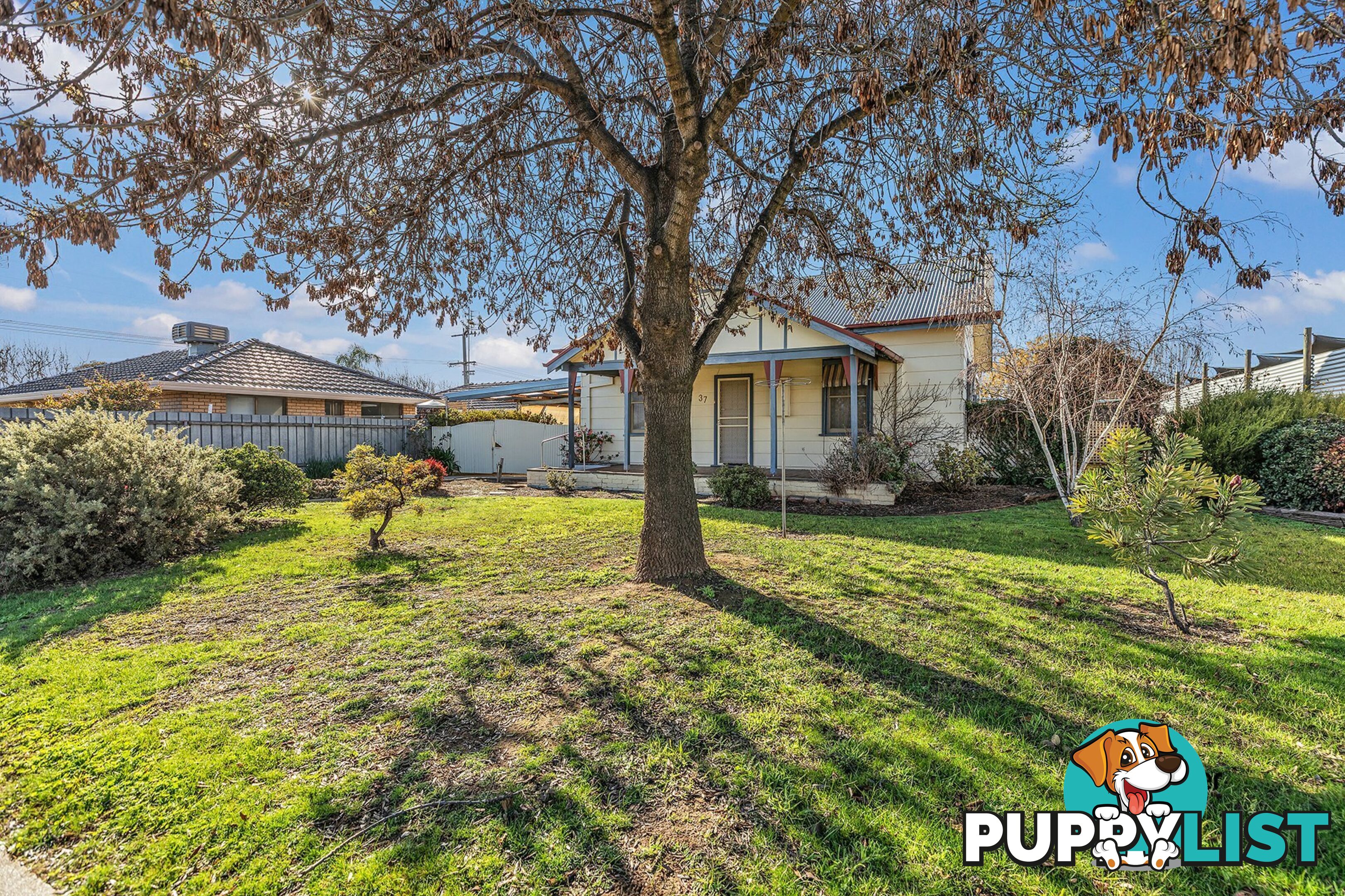 37 Queen St ROCHESTER VIC 3561